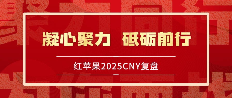 bvi公司查董事信息